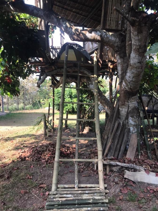 Amando_Tent Hotel Phayao Bagian luar foto