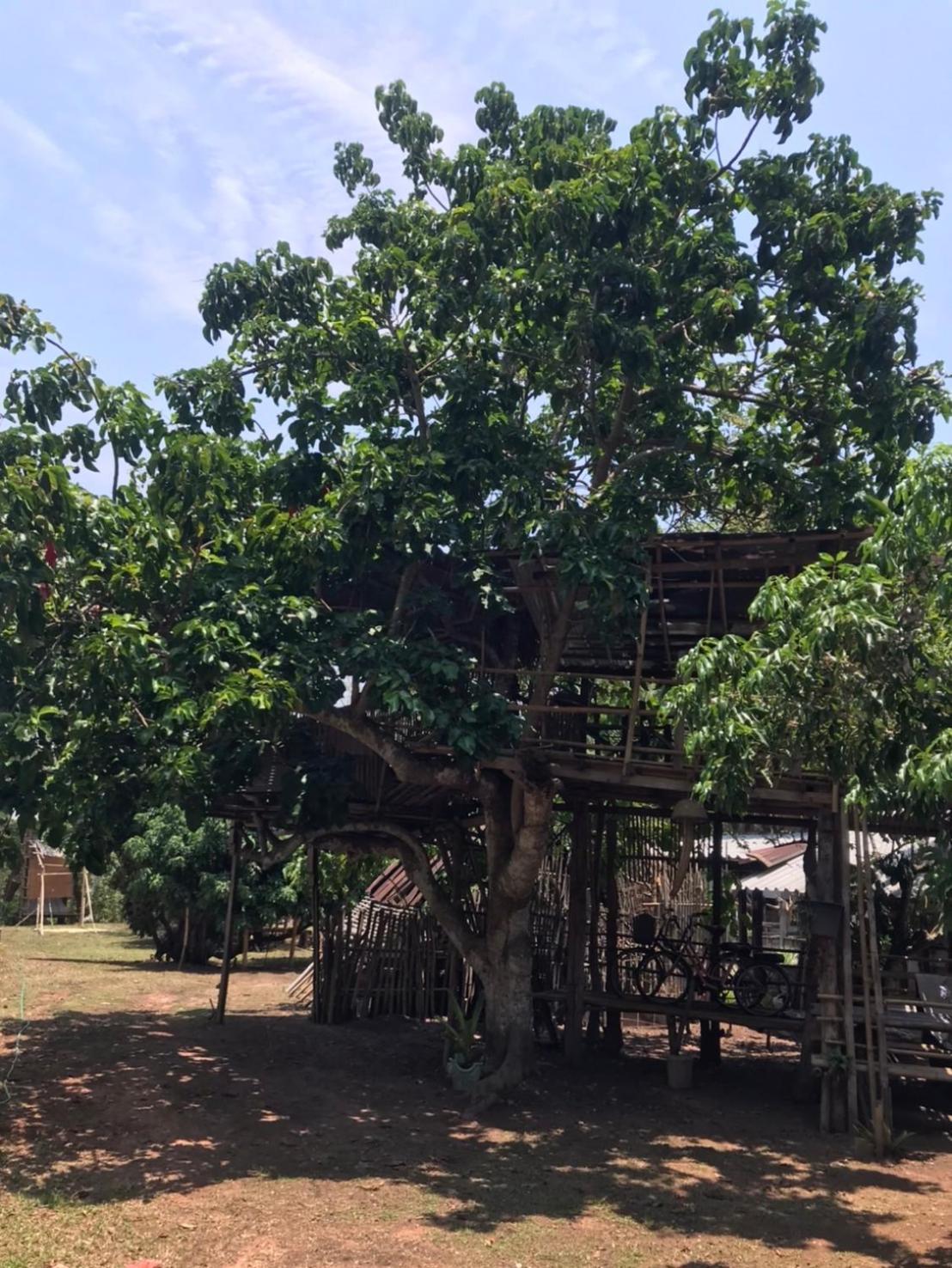 Amando_Tent Hotel Phayao Bagian luar foto